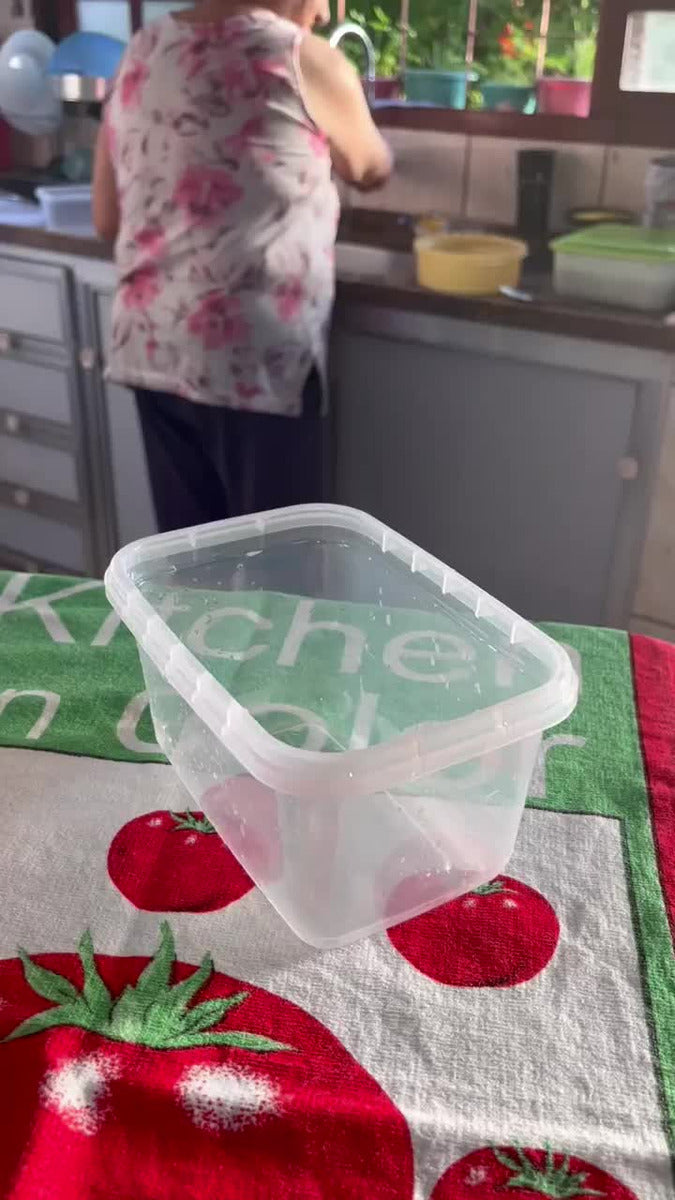 12 Marmitas Reutilizável 1litro Plástico C/trava Transparent