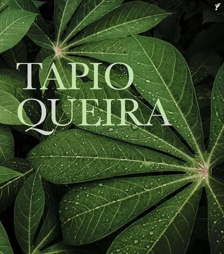 Chapa Tapioqueira Ferro Fundido 20 Cm Santana Cor Preto