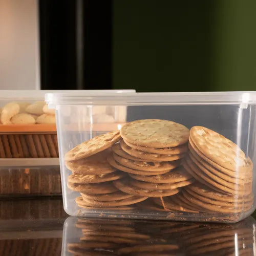 Kit 2 Potes Plástico Viagem Cozinha Multiuso Presídio 2l
