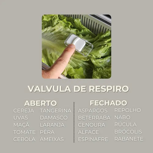 Pote Hermético Slim 4.470ml Com Cesto Salada Frutas Paramount