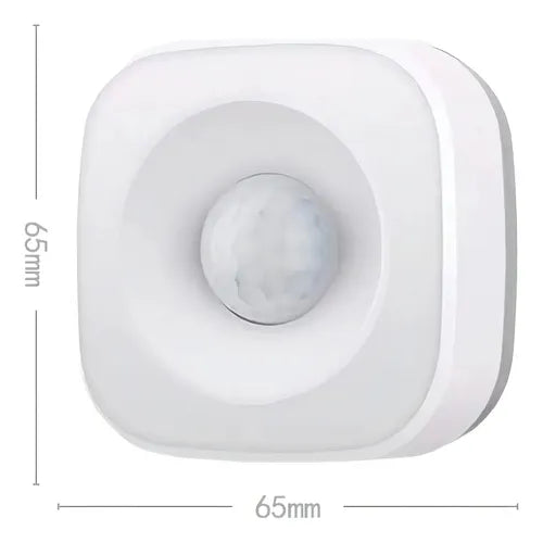 Sensor Movimento E Presença Wifi Inteligente Alexa Tuya Pir